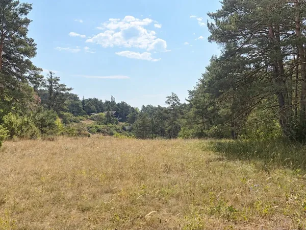 Terrain constructible de 1 990 m² – Un cadre naturel privilégié