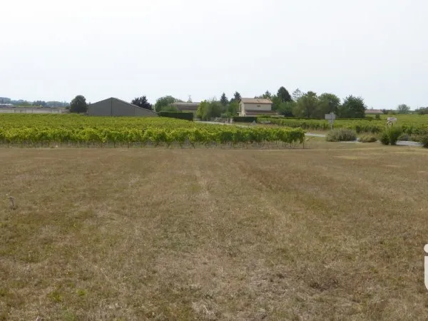 Terrain 1308 m²