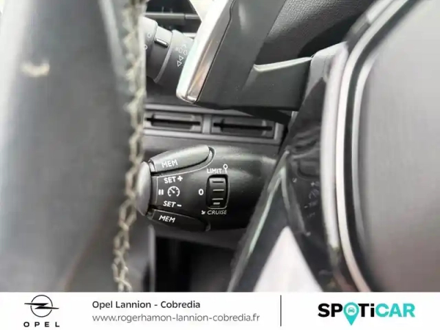 Peugeot 3008 1.5 bluehdi 130ch e6.c active business s&amp;s eat8 — photo 15