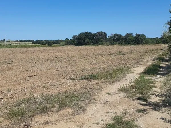 Terrain agricole