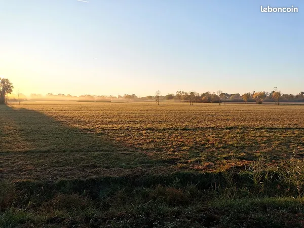 Immobilier terre agricole