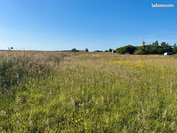 Terrain 6740 m² MONTAURE