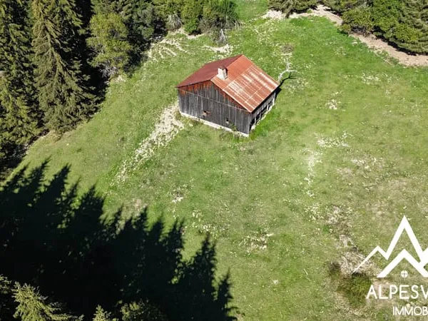 Chalet le 1310