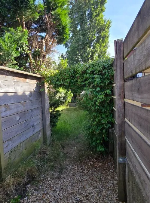 Photo 16