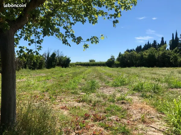 Location terrain pour chevaux