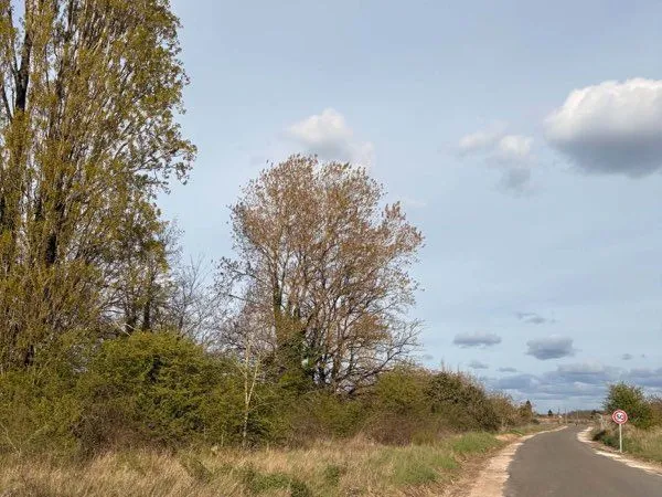 TERRAIN - Saint Hilaire Saint Mesmin