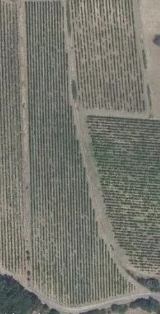 Vends Terrain Agricole