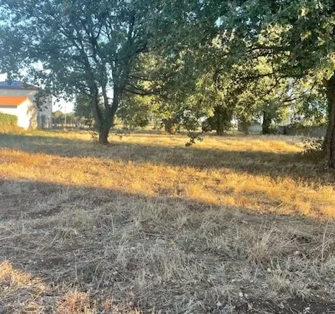 Terrain à bâtir à Fontenilles - 771 m² - 150 000 euros