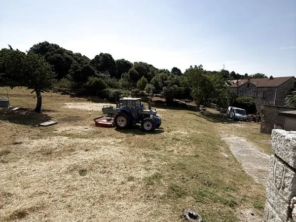 Terrain 781 m² Quenza