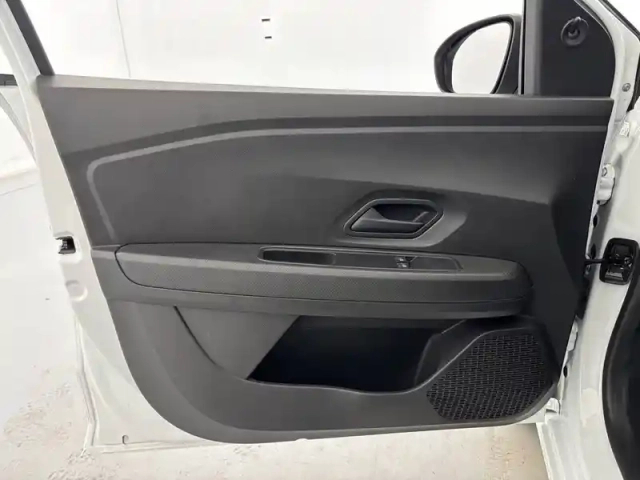 Dacia Sandero eco-g 100 - 22 — photo 20