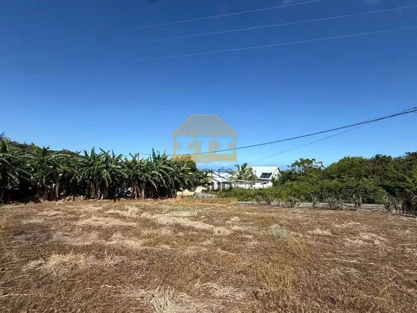 Terrain 459 m²