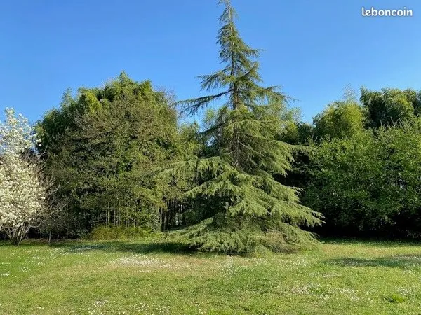Terrain 557 m² Martignas Sur Jalle
