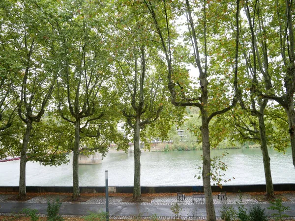 Appartement 7 pièces 218 m²