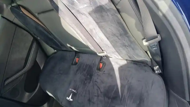 Tesla Model Y standard rwd — photo 55