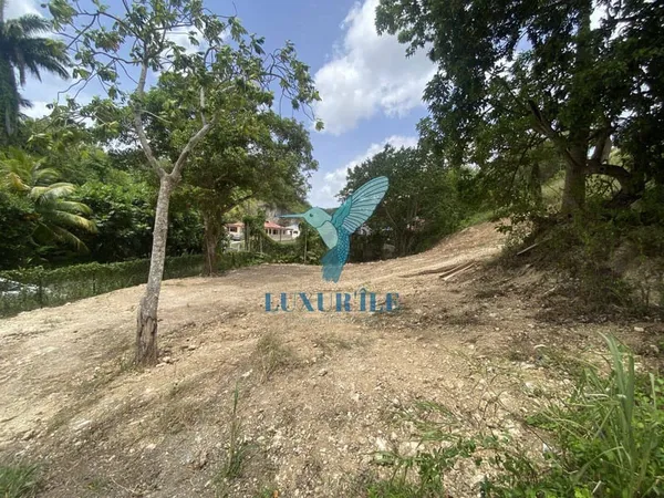 Terrain constructible 1223 m²