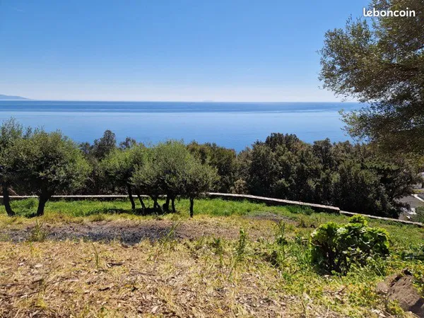 Terrain Brando vue mer