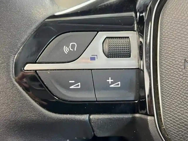 Peugeot 208 affaire 1.2 puretech 75ch s&amp;s premium — photo 14