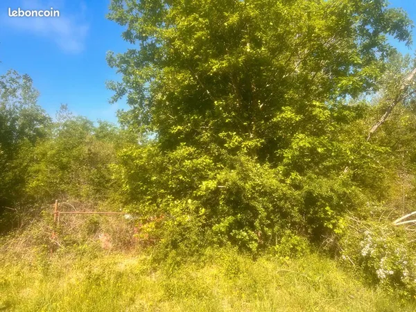 Terrain 24740 m² NEGREPELISSE