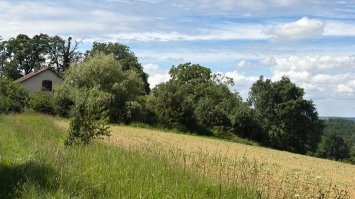 Photo 27