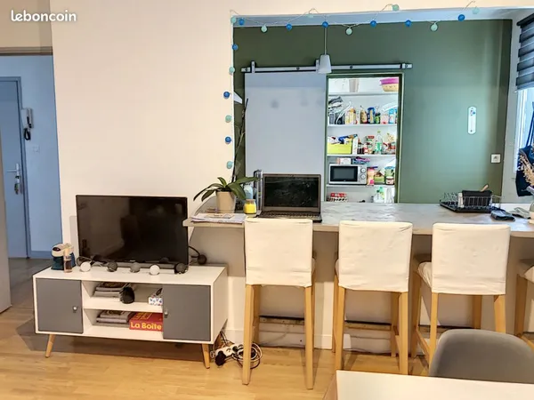 Appartement 3 pièces 54 m²