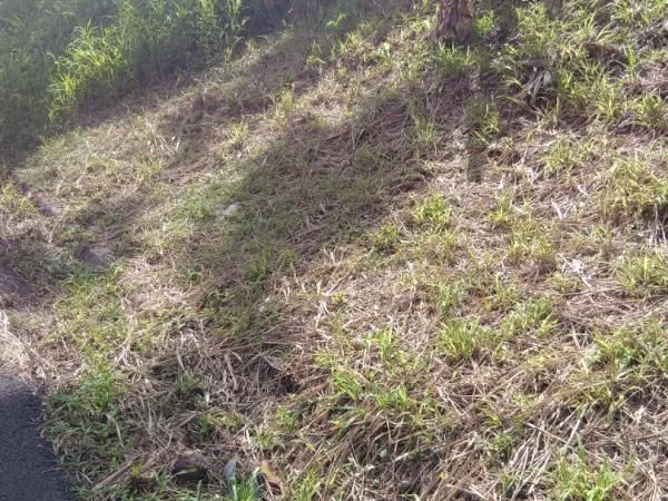 Terrain 689 m² Le Francois