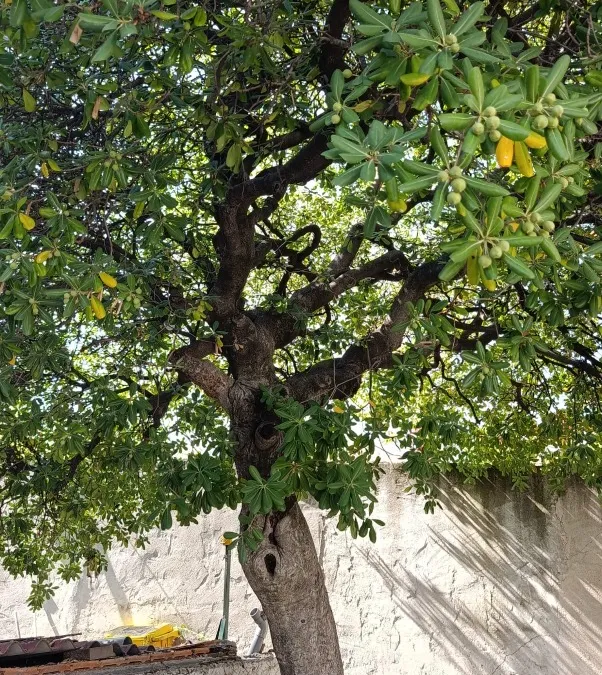 Photo 14