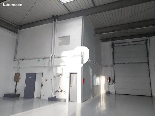 Local d'activité 882 m²