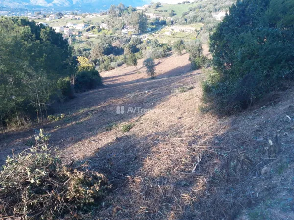 A Vendre Terrain Constructible sur la Plaine de Cuttoli