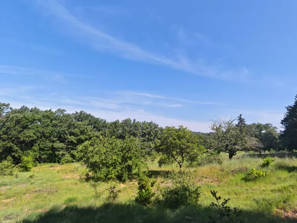 Terrain 1242 m²