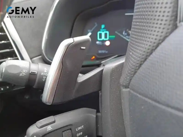 Ds Ds 7 ds7 crossback hybride e-tense 225 eat8 — photo 39