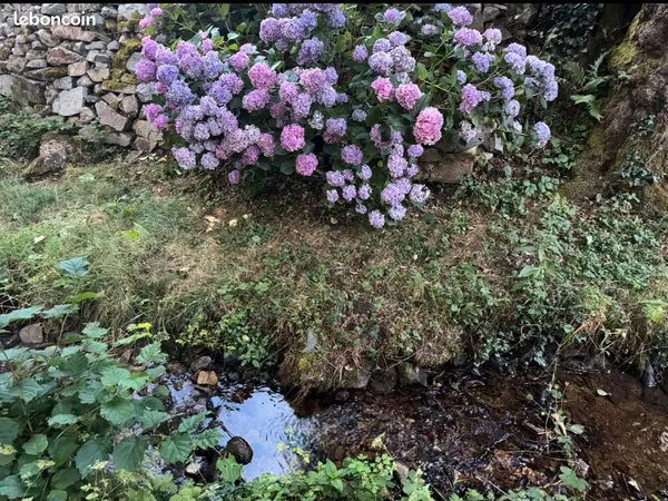 À louer terrain