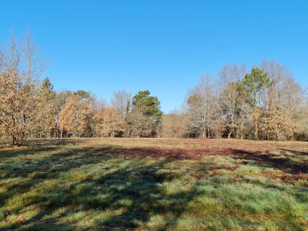 Terrain en individuel 10000 m²