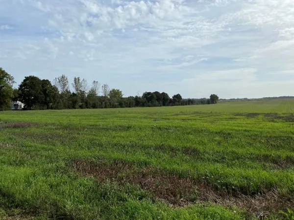 Terrain 3347 m²