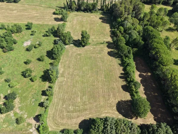 Terrain 2000 m²