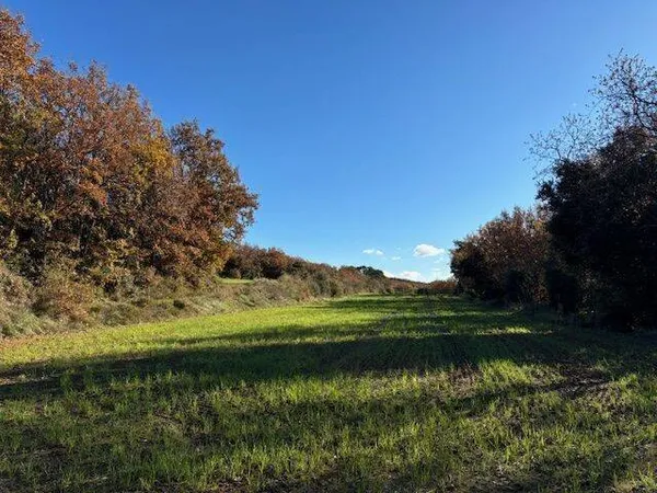 Terrain 60000 m²