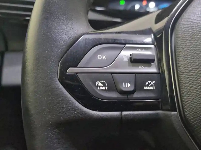 Peugeot 308 phev 180 e-eat8 — photo 28