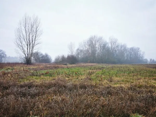 Terrain 591 m²
