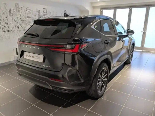 Lexus Nx 450h+ luxe 4wd — photo 15