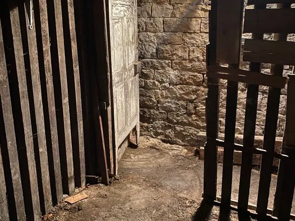 Cave à louer