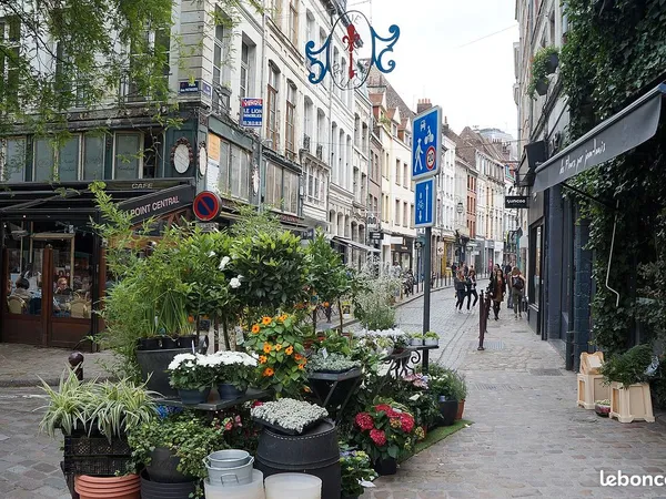 ❤️Duplex 2 ch. Vieux Lille avec extérieur