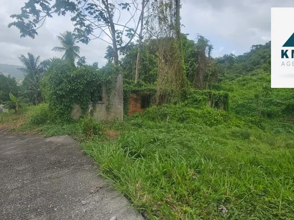 Terrain en individuel 4692 m²
