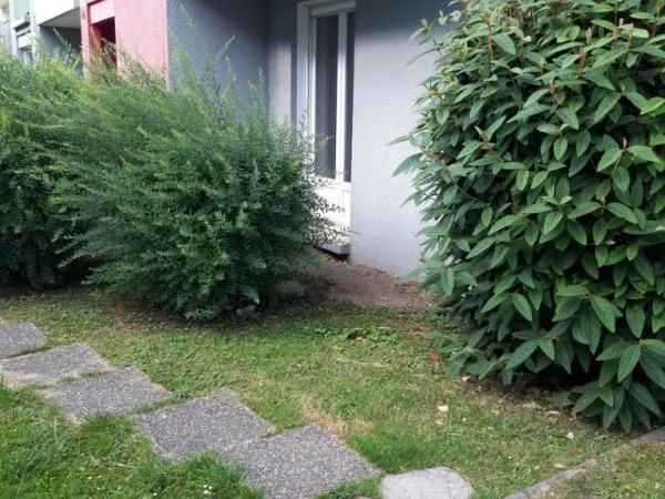 Local bureaux 49 m²
