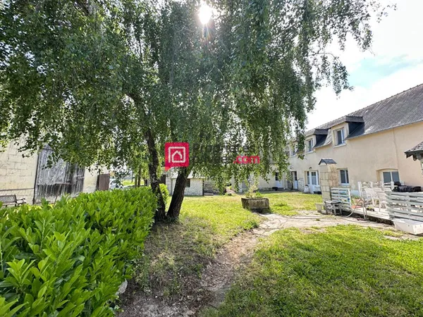 Maison ancienne Chinon 12 pièce(s) 275m2 avec 3 gîtes et terrain 2,5ha