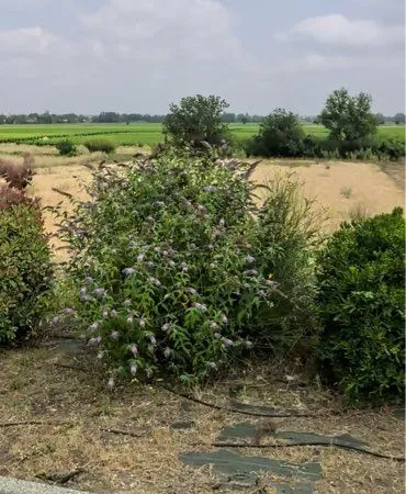 Loue terrain agricole 5000m2