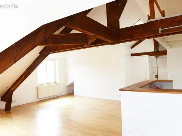 Esprit loft - Quartier Sully/St Clément Grand T2