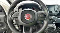 Fiat Panda Pandina 1.0 65ch BSG S&S Hybrid Icône (Step1) — photo 12