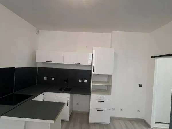 Appartement T3 rénové centre ville de Pau