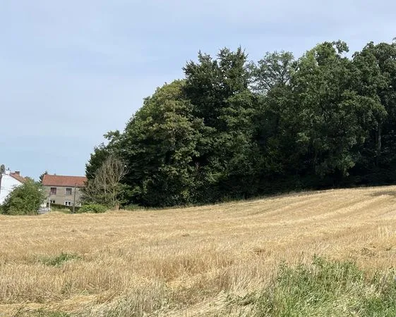 Parcelle de bois 3300 m²