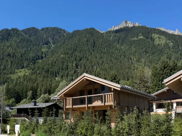 Chalet neuf au coeur des Praz (chalet A)