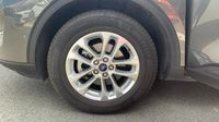 Ford Kuga 2.0 EcoBlue 120ch BVA 4X4 Titanium X — photo 18